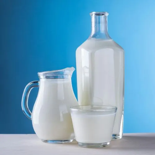 Fresh Whole Milk