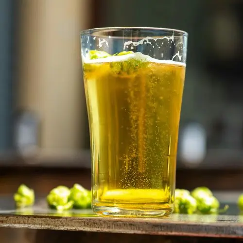 Fruit Beer