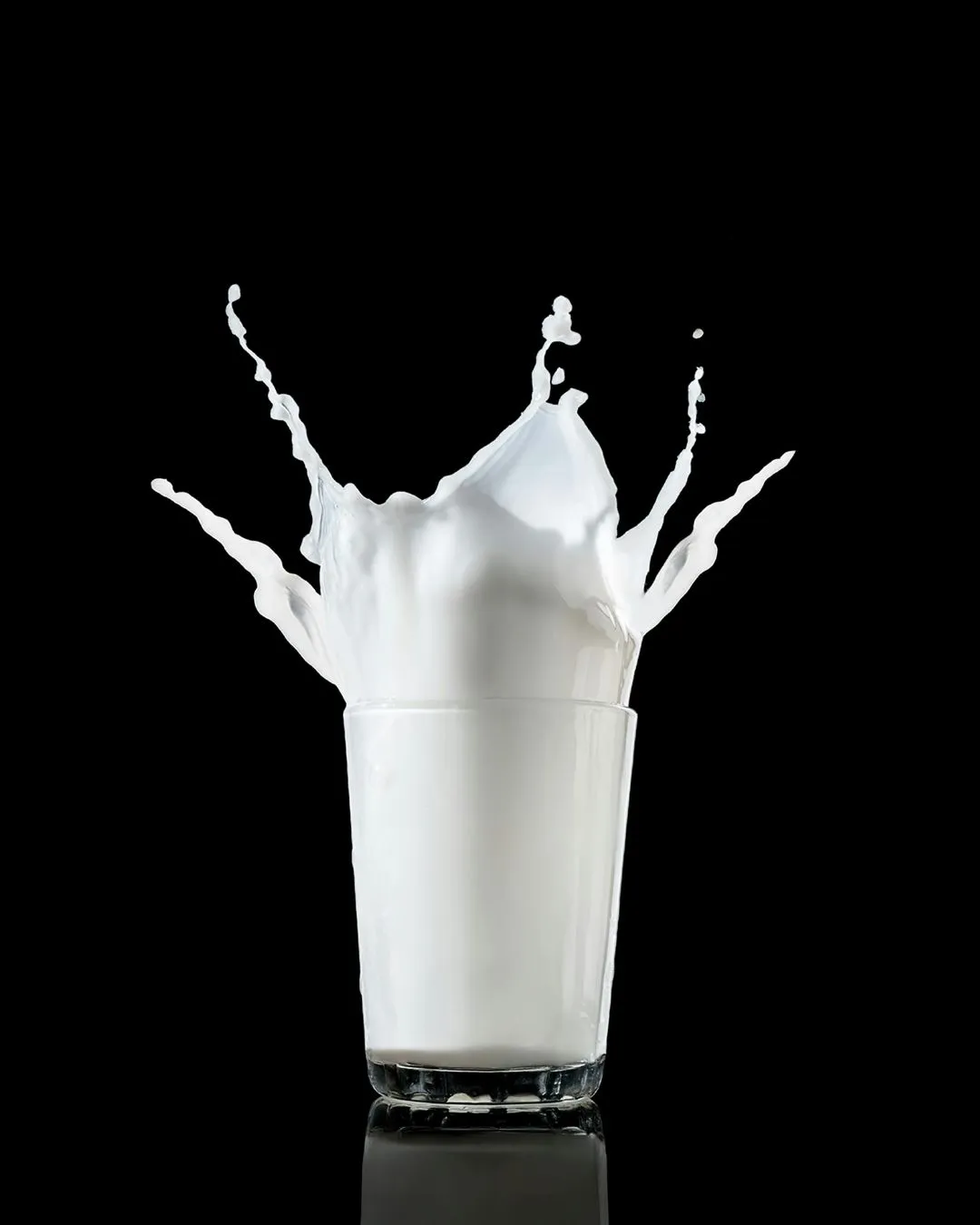 Dairy